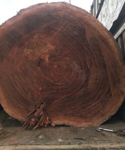 Rose Wood Round Logs