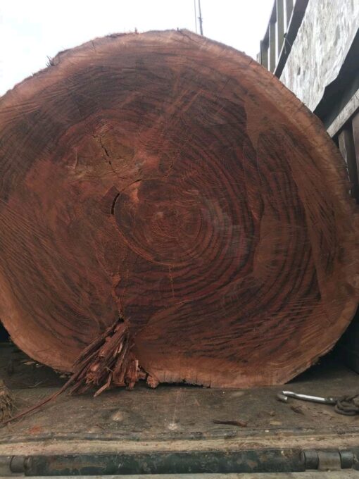 Rose Wood Round Logs