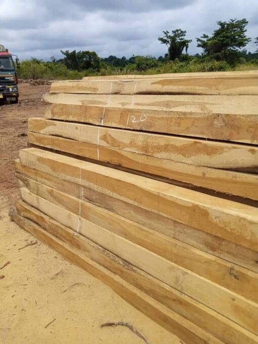 Teak Wood Square Logs