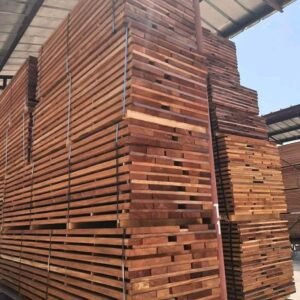 Alternative view of Sapele / Sapelli