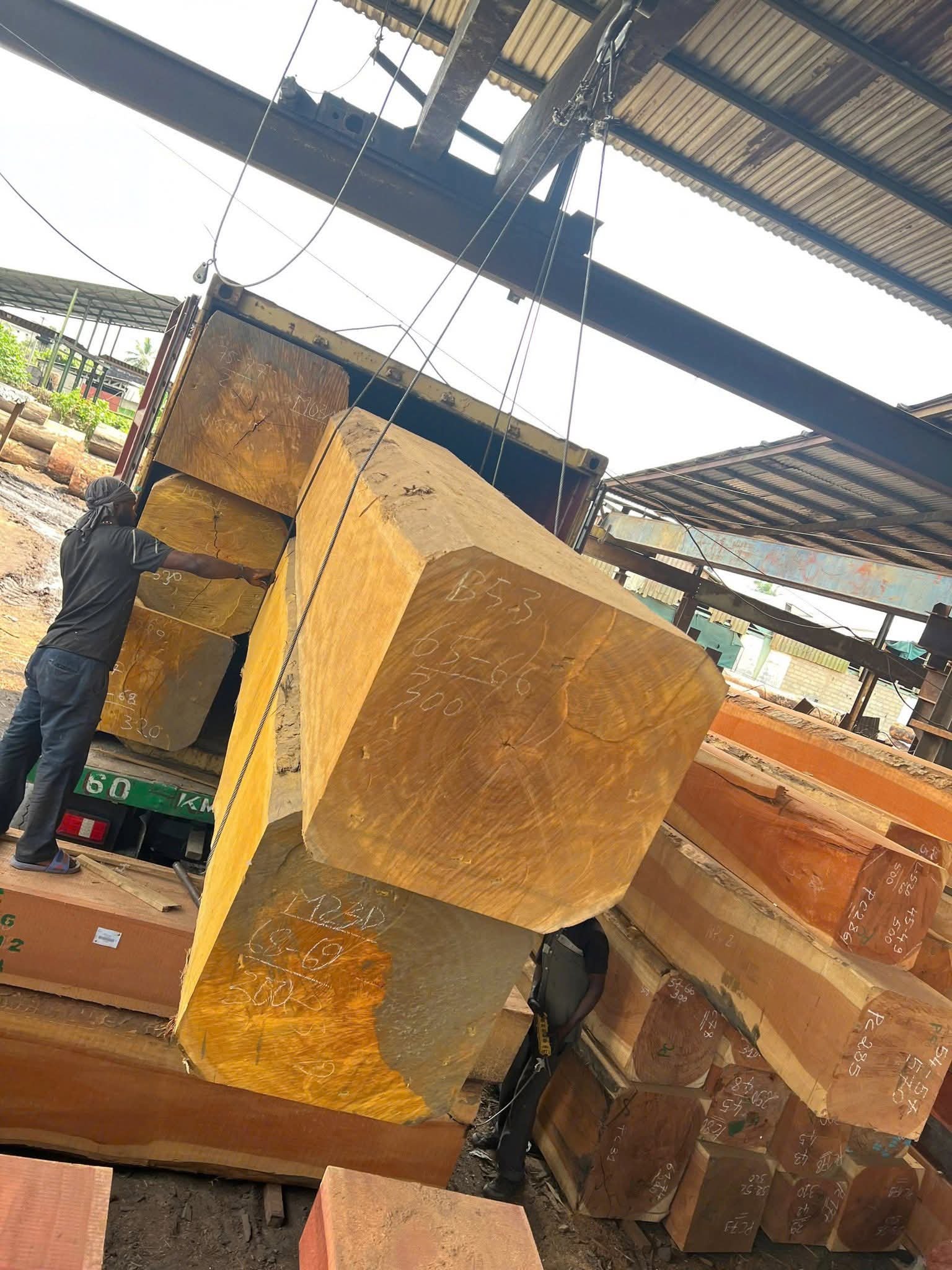 Billinga / Jackfruit Square Logs - Image 3
