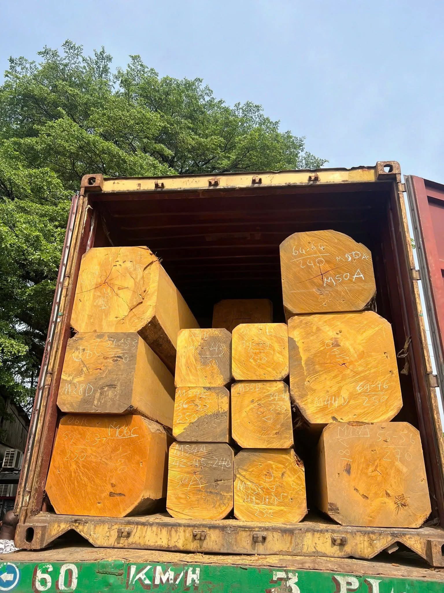 Billinga / Jackfruit Square Logs - Image 4