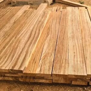 Alternative view of Zingana / Zebrawood