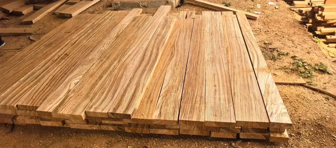 Zingana / Zebrawood - Image 2