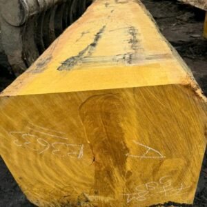 Alternative view of Billinga / Jackfruit Square Logs