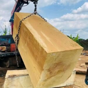 Pachyloba Square Logs
