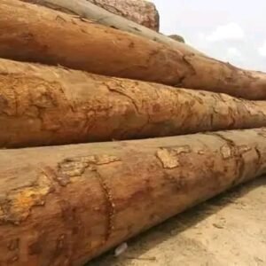 Alternative view of Azobe Round Logs