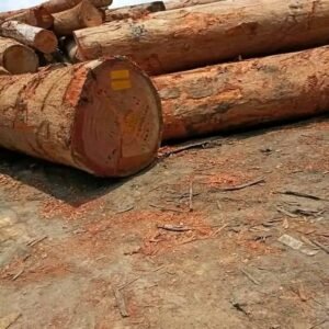 Azobe Round Logs