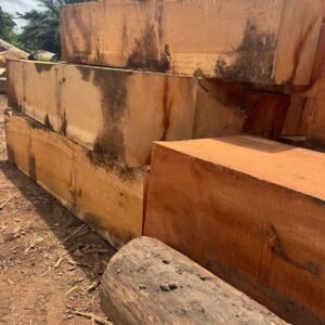 Alternative view of Doussie Square Logs